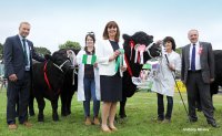 Ch. Female Cow Calf Eirian Lewis Daughter and RWAS President.jpg